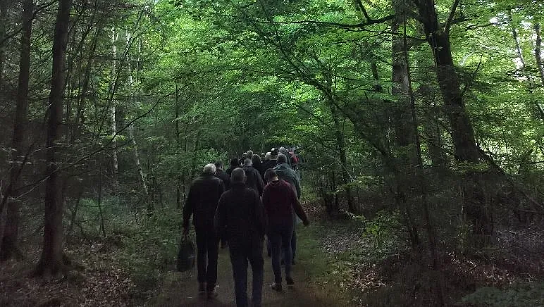 Skovvandring Rødding Præsteskov 2025